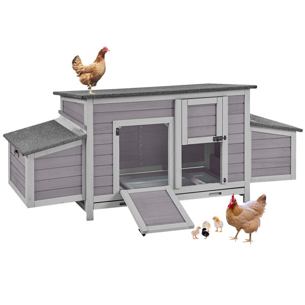 Tucker Murphy Pet™ Cyani 11.2 Square Feet Chicken Coop with Roosting